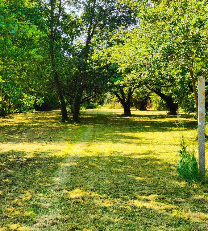 Entretien de jardin pour particuliers &agrave; Thizay